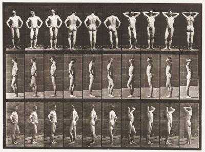 Planche 530. Diverses poses - Eadweard Muybridge