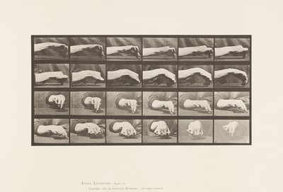 Planche 532. Mouvement de la main; Dessiner un cercle - Eadweard Muybridge