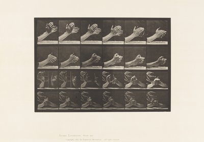 Planche 533. Mouvement de la main; Joindre les mains - Eadweard Muybridge