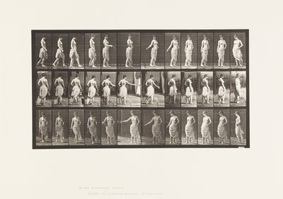 Planche 53. Marcher, disperser des fleurs et tourner - Eadweard Muybridge