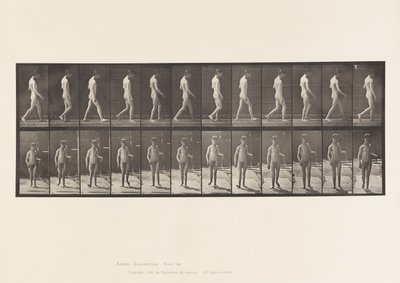 Planche 551. Épilepsie ; marche - Eadweard Muybridge