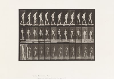 Planche 559. Sclérose en plaques; Marchant avec une canne - Eadweard Muybridge