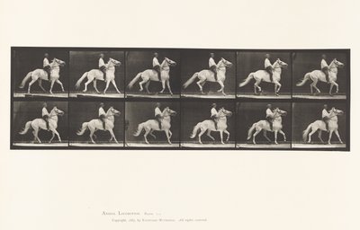 Amble - Eadweard Muybridge