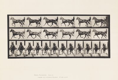 Planche 595. Balancer (Allure): Sulky; Cheval brun Pronto - Eadweard Muybridge