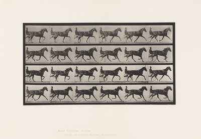 Planche 608. Trot; Sulky; Jument Alezane, Flode Holden - Eadweard Muybridge
