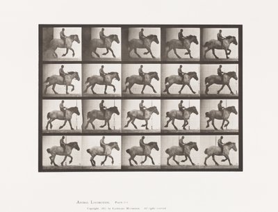 Planche 615. Petit Galop: À Cru; Cheval Belge Gris Foncé Hansel - Eadweard Muybridge