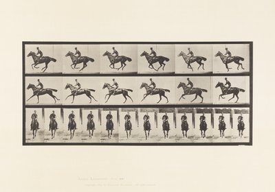 Planche 632. Galop; Selle; Cheval Pur-Sang Bai Bouquet - Eadweard Muybridge