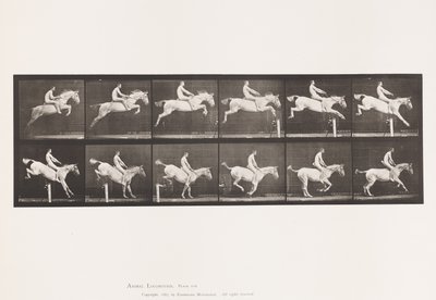 Planche 643. Sauter un Obstacle; À Cru; Franchissement et Atterrissage - Eadweard Muybridge