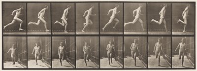 Planche 67. Courir - Eadweard Muybridge