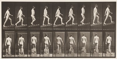 Planche 75. Monter une pente, angle 1 sur 4, 1872-1885 - Eadweard Muybridge