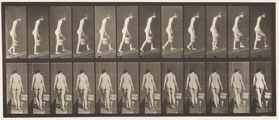 Planche 84. Montée d