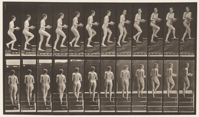 Planche 94. Monter les escaliers en regardant autour; Bassin dans les mains - Eadweard Muybridge