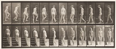 Planche 98. Se retourner et monter les escaliers, 1872-1885 - Eadweard Muybridge