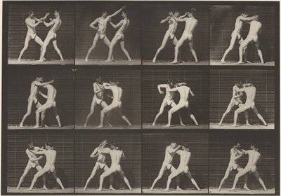 Planche numéro 340. Boxe, main ouverte (chaussures), 1887 (photo) - Eadweard Muybridge