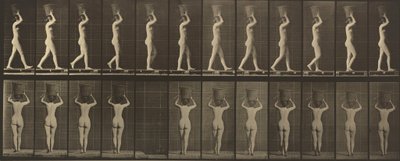 Planche numéro 34. Marchant et portant un panier de 15 livres sur la tête, les mains levées, 1887 (photo) - Eadweard Muybridge