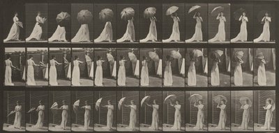  - Eadweard Muybridge