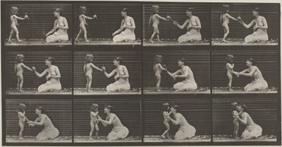Planche numéro 465. Enfant apportant un bouquet à une femme, 1887 (photo) - Eadweard Muybridge