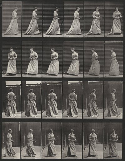  - Eadweard Muybridge