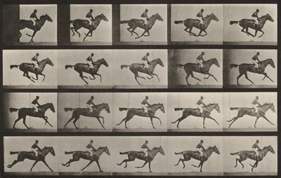 - Eadweard Muybridge