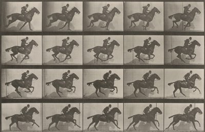  - Eadweard Muybridge