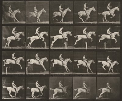  - Eadweard Muybridge