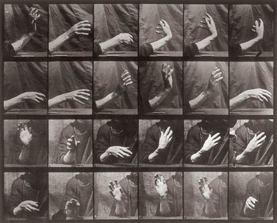 Séquence avec mouvement de la main, planche 535 de Locomotion animale - Eadweard Muybridge