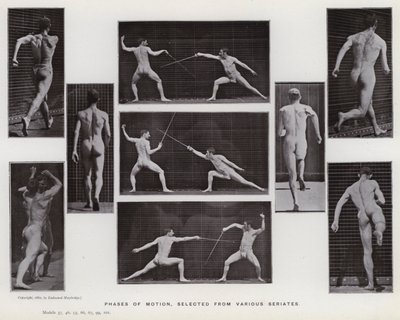 La Figure Humaine en Mouvement : Phases de mouvement, sélectionnées de diverses séries - Eadweard Muybridge