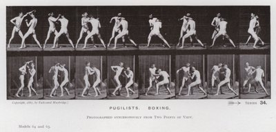 La Figure Humaine en Mouvement : Pugilistes, Boxe - Eadweard Muybridge