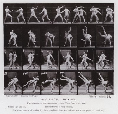 La Figure Humaine en Mouvement : Pugilistes, Boxe - Eadweard Muybridge