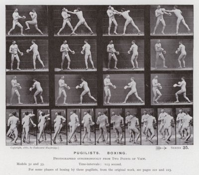 La figure humaine en mouvement : Pugilistes, boxe - Eadweard Muybridge