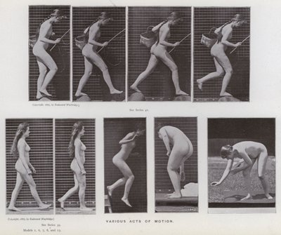 La figure humaine en mouvement : Divers actes de mouvement - Eadweard Muybridge