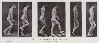 La figure humaine en mouvement : Marche, sous diverses conditions - Eadweard Muybridge