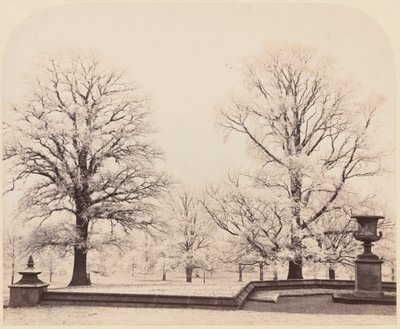 Givre, une scène de parc, 1862 (photo) - Earl of Caithness
