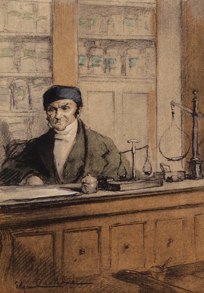 Illustration pour Madame Bovary de Gustave Flaubert - Edgar Chahine