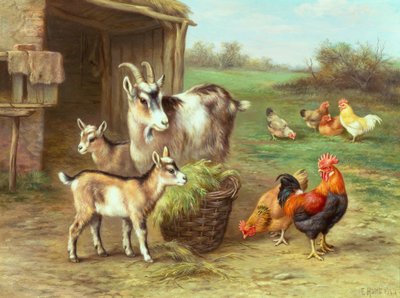 Poules et chèvres se nourrissant dans une cour de ferme - Edgar Hunt
