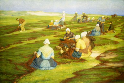 Réparation des Filets - Edgard Farasyn