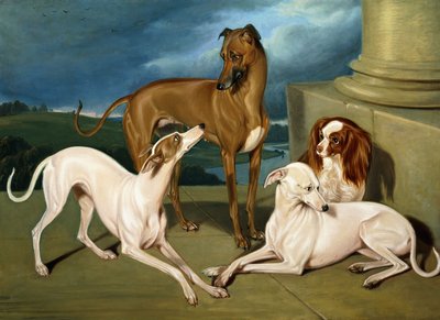 Lévriers et un épagneul royal, 1837 - Edmund Jr Havell