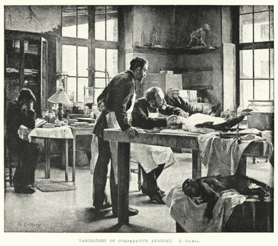 Laboratoire d