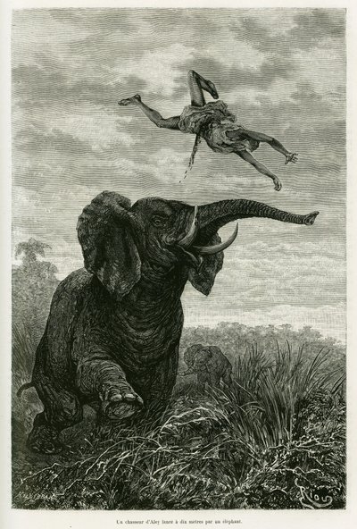 Le chasseur d