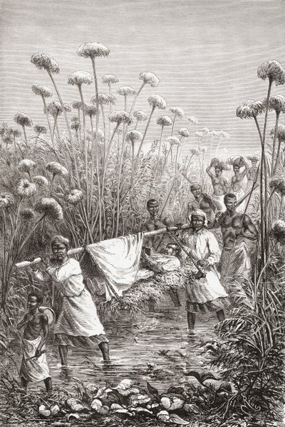 Dr. David Livingstone porté les derniers kilomètres jusqu