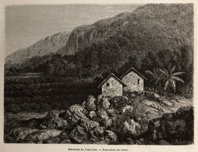 Hacienda par Tian Tian, Pérou et plantation de cacao, dessin de Riou, pour illustrer le voyage de Paul Marcoy à travers l