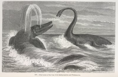 Scène idéale du lias avec Ichthyosaurus et Plesiosaurus - Edouard Riou