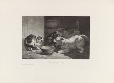 Chat soufflant et trois chiens aboyant près d