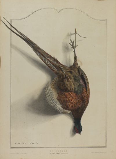 La Chasse: Le Faisan Commun - Edouard Travies