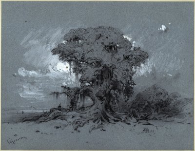 Vieux arbre - Eduard Hildebrandt