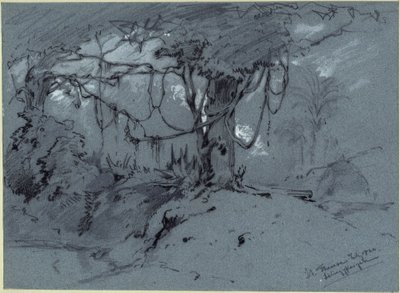 Arbre recouvert de plantes grimpantes - Eduard Hildebrandt