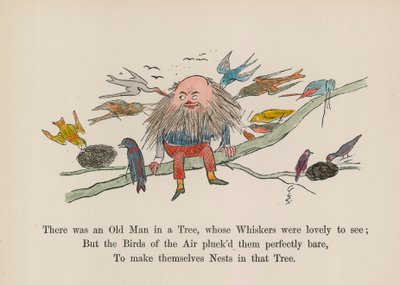 Il y avait un vieil homme dans un arbre, dont les moustaches étaient magnifiques à voir - Edward (after) Lear