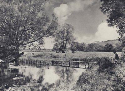 Prairies humides du Lower Itchen - Edward Alfred Barton