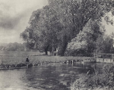 Vent dans les saules, Abbot