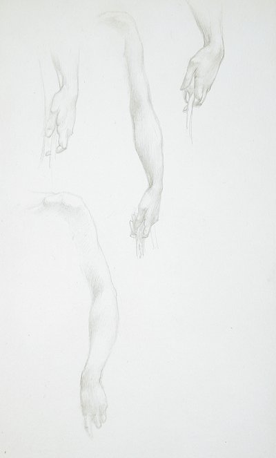 Études de bras et de mains (recto) ; Étude de torse féminin (verso) - Edward Burne-Jones